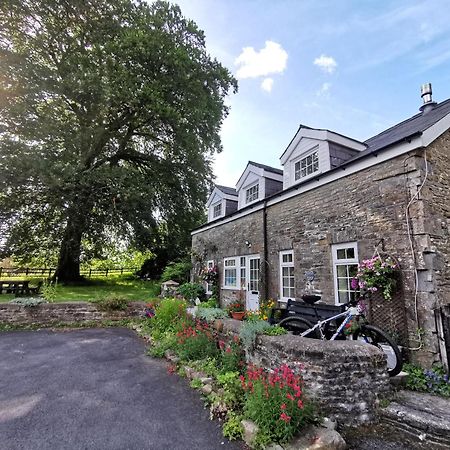 Swansea Valley Holiday Cottages Cilybebyll Dış mekan fotoğraf